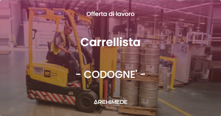 OFFERTA LAVORO - Carrellista - CODOGNE' (TV)