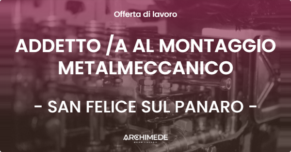 OFFERTA LAVORO - ADDETTO A AL MONTAGGIO METALMECCANICO - SAN FELICE SUL PANARO