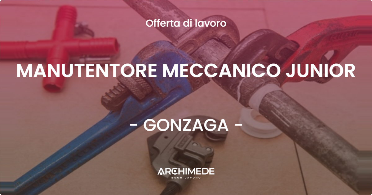 OFFERTA LAVORO - MANUTENTORE MECCANICO JUNIOR - GONZAGA