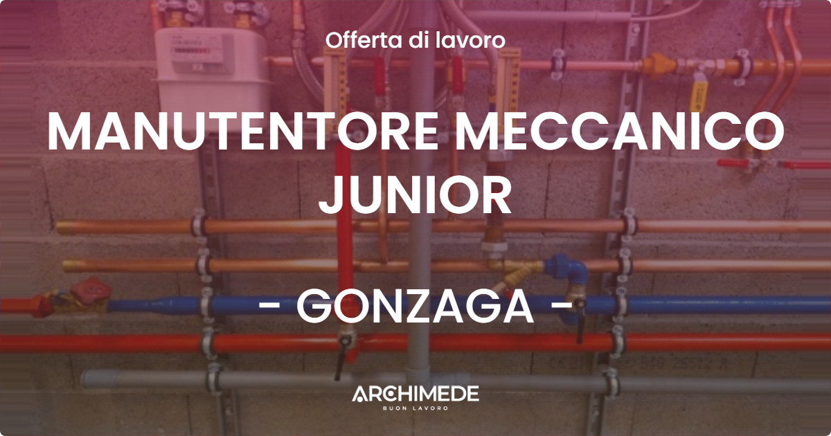 OFFERTA LAVORO - MANUTENTORE MECCANICO JUNIOR - GONZAGA