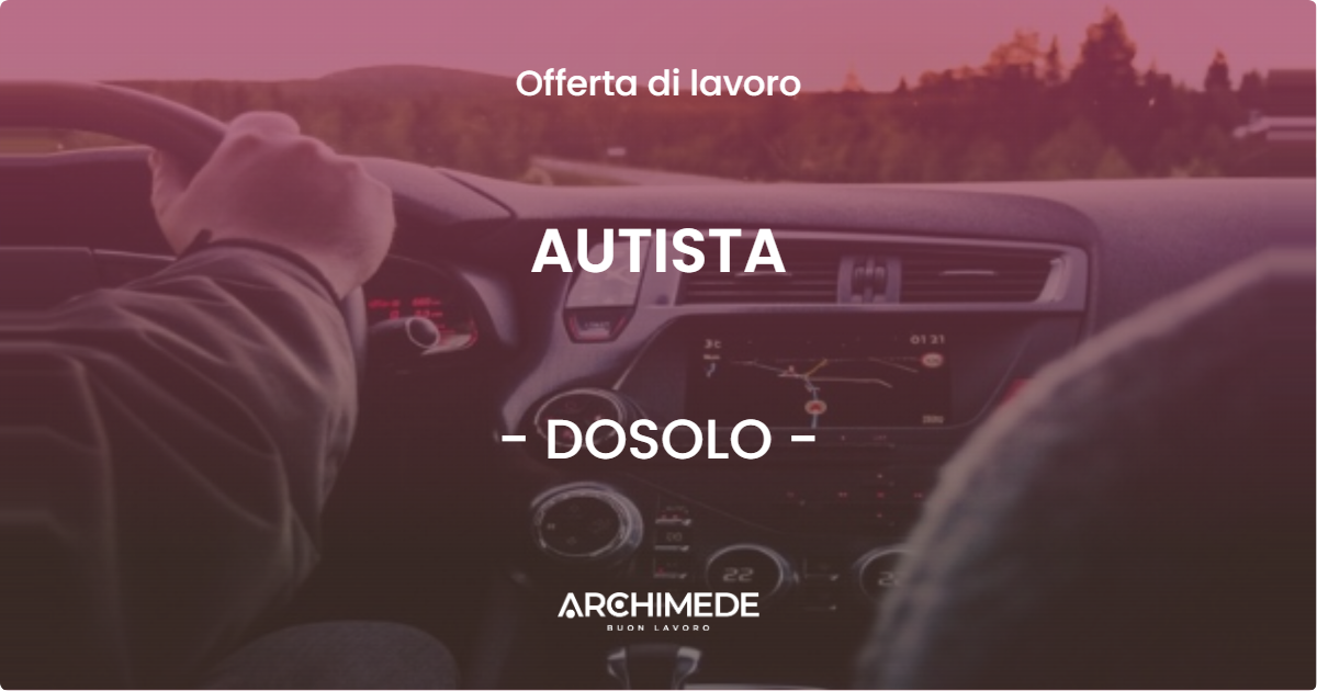 OFFERTA LAVORO - AUTISTA - DOSOLO