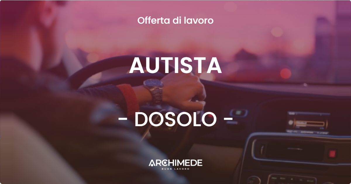 OFFERTA LAVORO - AUTISTA - DOSOLO