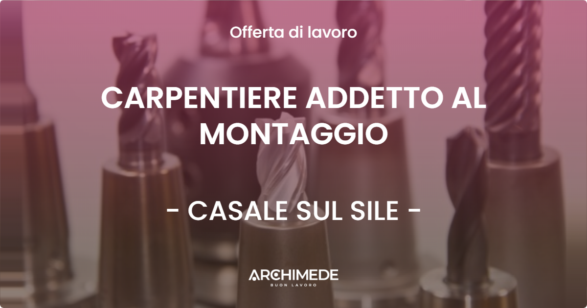 OFFERTA LAVORO - CARPENTIERE ADDETTO AL MONTAGGIO - CASALE SUL SILE