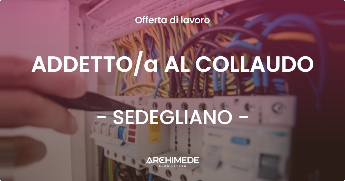 OFFERTA LAVORO - ADDETTOa AL COLLAUDO - SEDEGLIANO