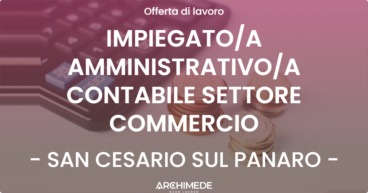 OFFERTA LAVORO - IMPIEGATOA AMMINISTRATIVOA CONTABILE SETTORE COMMERCIO - SAN CESARIO SUL PANARO