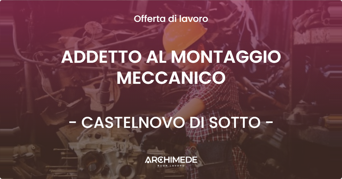 OFFERTA LAVORO - ADDETTO AL MONTAGGIO MECCANICO - CASTELNOVO DI SOTTO