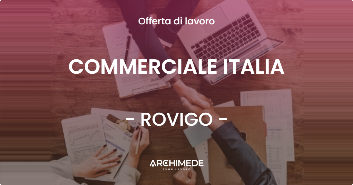 OFFERTA LAVORO - COMMERCIALE ITALIA - ROVIGO (RO)