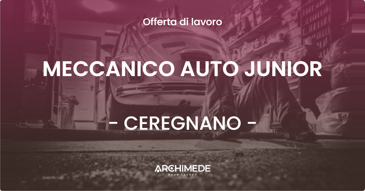 OFFERTA LAVORO - MECCANICO AUTO JUNIOR - CEREGNANO (RO)