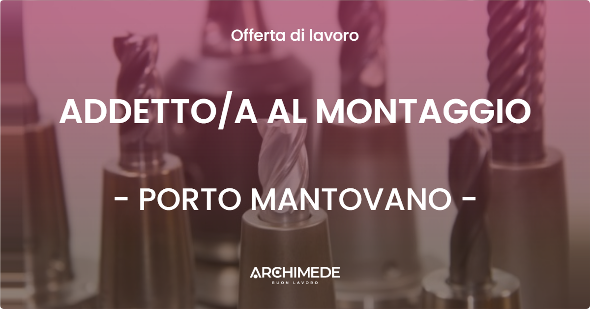 OFFERTA LAVORO - ADDETTO/A AL MONTAGGIO - PORTO MANTOVANO (MN)