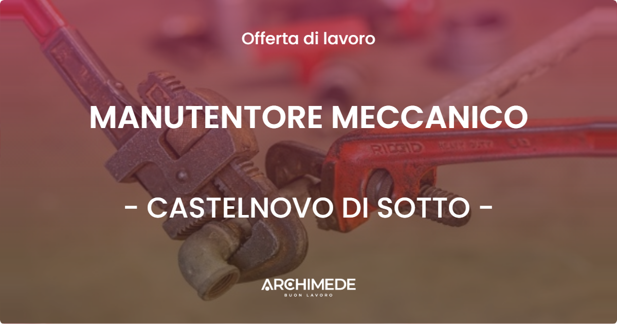 OFFERTA LAVORO - MANUTENTORE MECCANICO - CASTELNOVO DI SOTTO