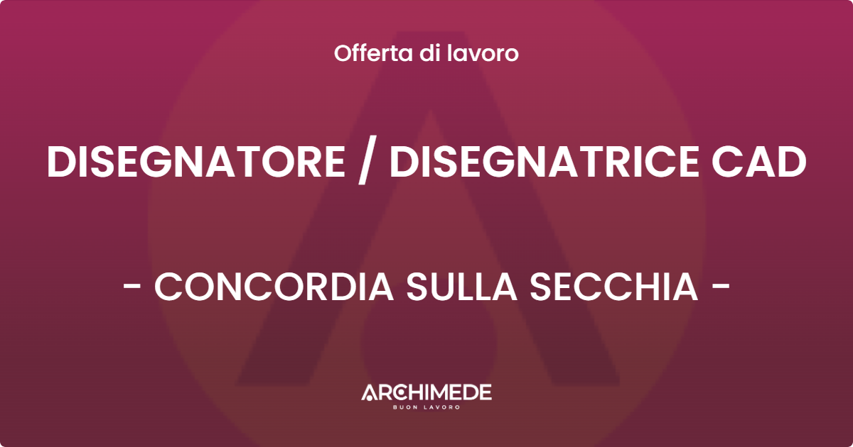 OFFERTA LAVORO - DISEGNATORE  DISEGNATRICE CAD - CONCORDIA SULLA SECCHIA