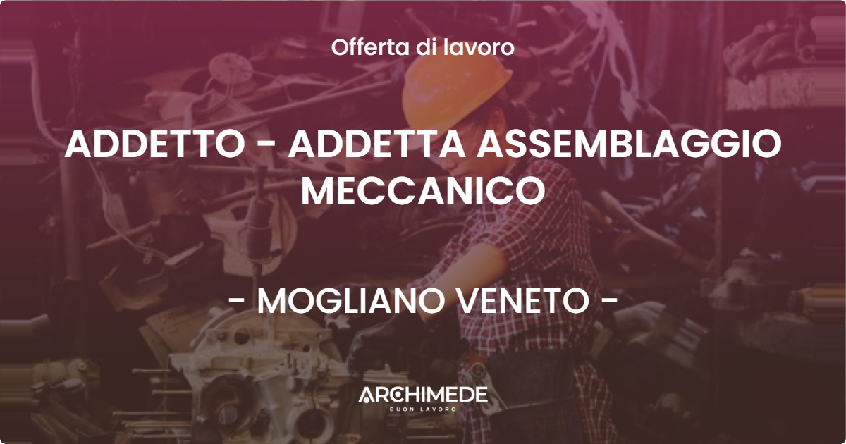 OFFERTA LAVORO - ADDETTO - ADDETTA ASSEMBLAGGIO MECCANICO - MOGLIANO VENETO (TV)