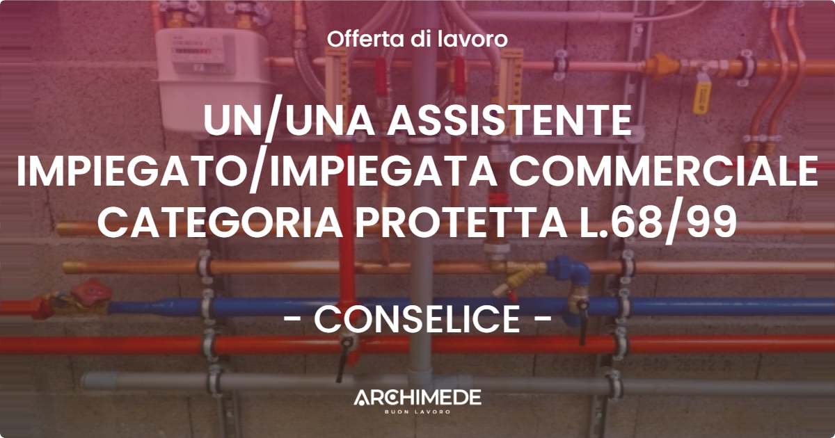 OFFERTA LAVORO - UN/UNA ASSISTENTE IMPIEGATO/IMPIEGATA COMMERCIALE CATEGORIA PROTETTA L.68/99 - CONSELICE (RA)
