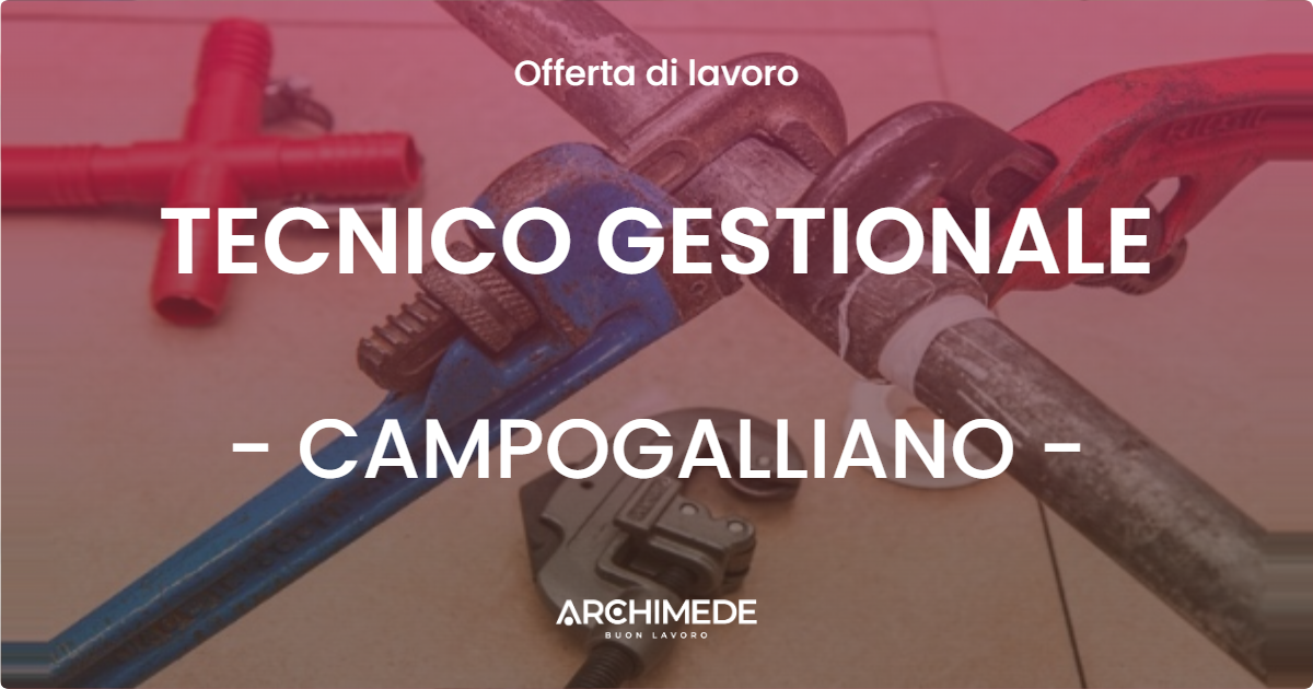 OFFERTA LAVORO - TECNICO GESTIONALE - CAMPOGALLIANO (MO)