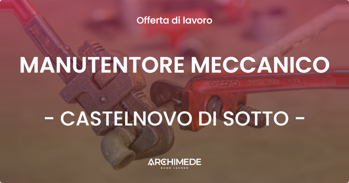 OFFERTA LAVORO - MANUTENTORE MECCANICO - CASTELNOVO DI SOTTO (RE)